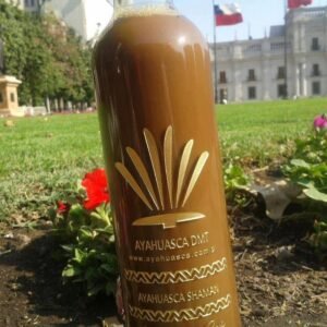 Ayahuasca
